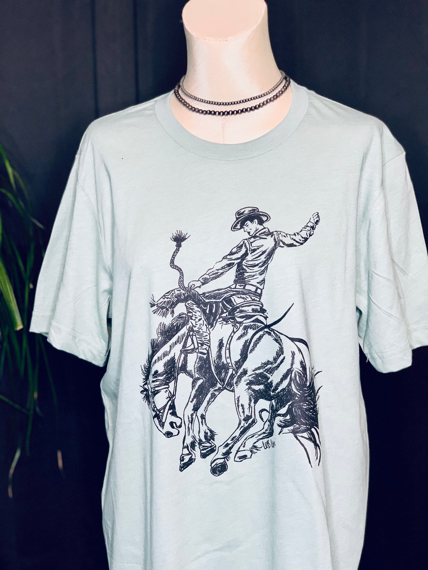 Buckin Cowboy ðŸ¤